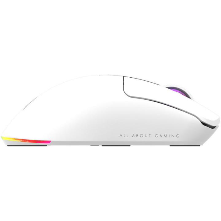 Mouse AQIRYS M2 White