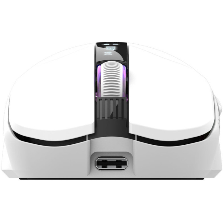 Mouse AQIRYS M2 White